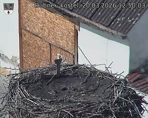 Capi_Dubne_20260320_125003.jpg (1350&nbsp;x&nbsp;1080)