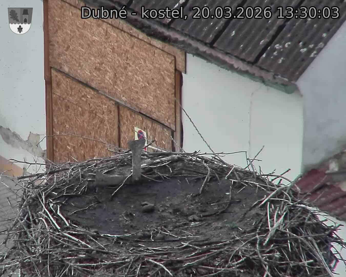 Capi_Dubne_20260320_133003.jpg (1350&nbsp;x&nbsp;1080)