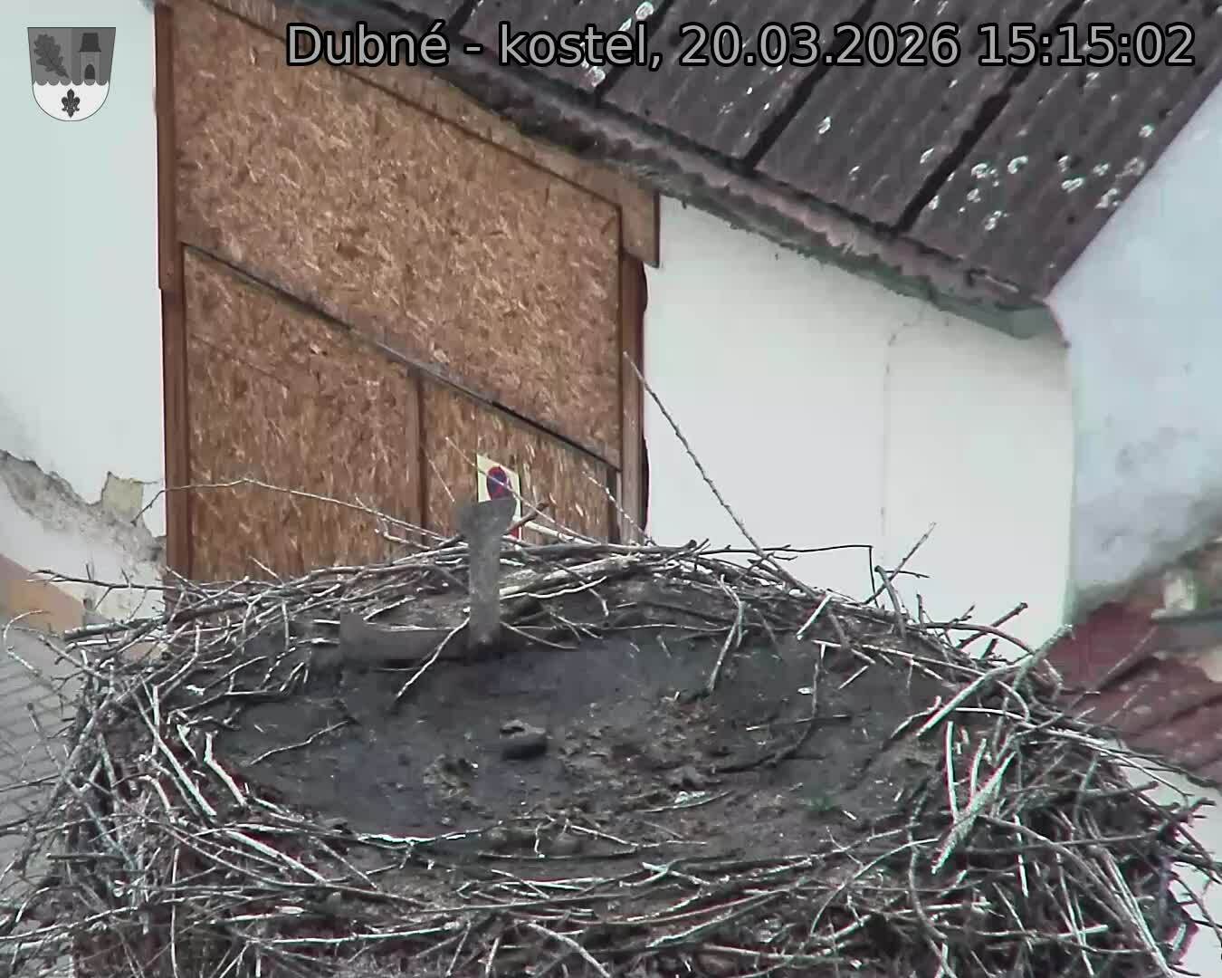 Capi_Dubne_20260320_151502.jpg (1350&nbsp;x&nbsp;1080)