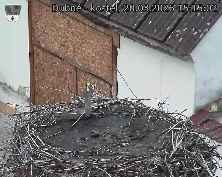 Capi_Dubne_20260320_151502.jpg (1350&nbsp;x&nbsp;1080)