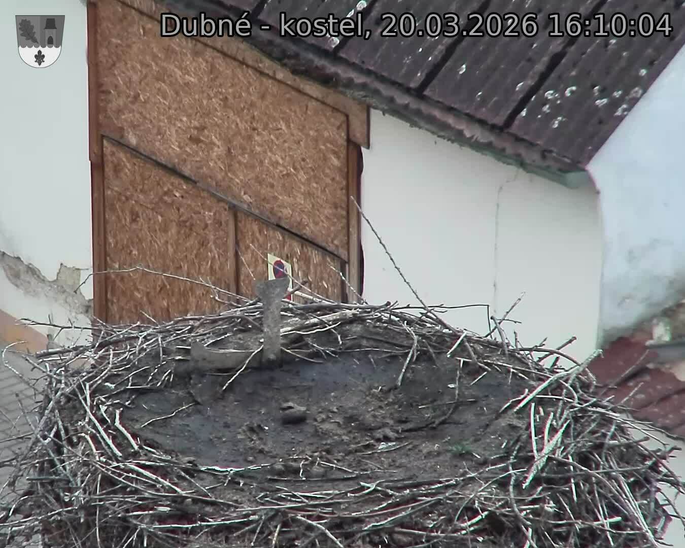 Capi_Dubne_20260320_161004.jpg (1350&nbsp;x&nbsp;1080)