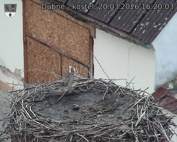 Capi_Dubne_20260320_162003.jpg (1350&nbsp;x&nbsp;1080)