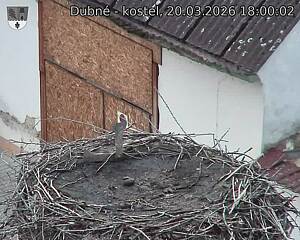 Capi_Dubne_20260320_180002.jpg (1350&nbsp;x&nbsp;1080)