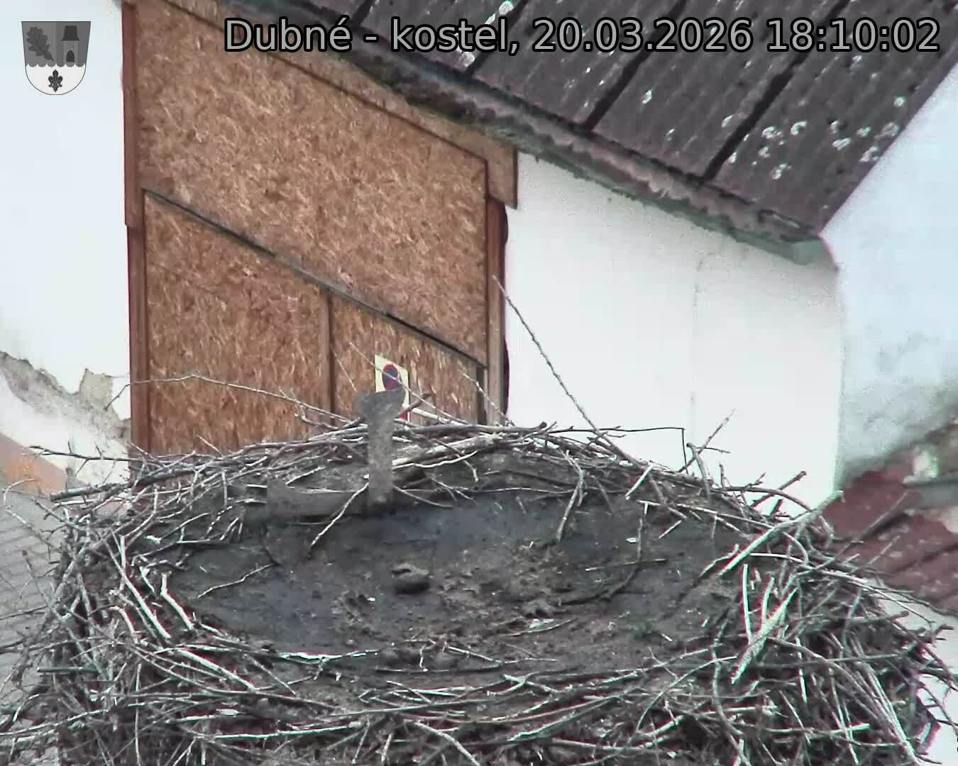 Capi_Dubne_20260320_181002.jpg (1350&nbsp;x&nbsp;1080)