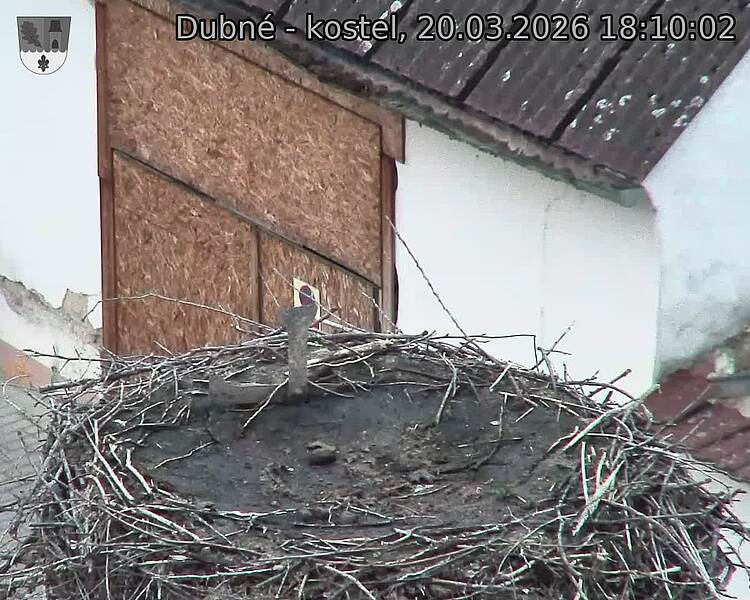 Capi_Dubne_20260320_181002.jpg (1350&nbsp;x&nbsp;1080)