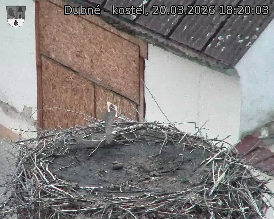 Capi_Dubne_20260320_182003.jpg (1350&nbsp;x&nbsp;1080)