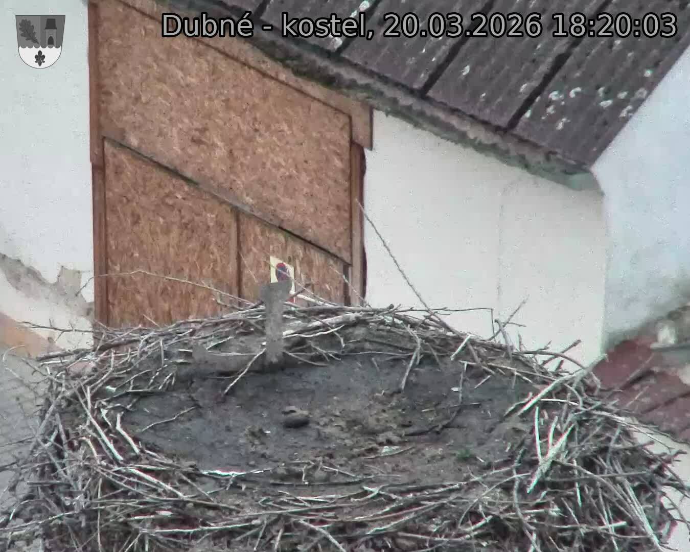 Capi_Dubne_20260320_182003.jpg (1350&nbsp;x&nbsp;1080)