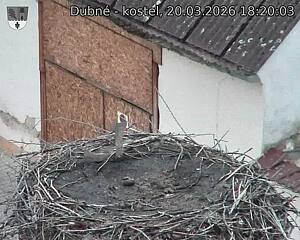 Capi_Dubne_20260320_182003.jpg (1350&nbsp;x&nbsp;1080)