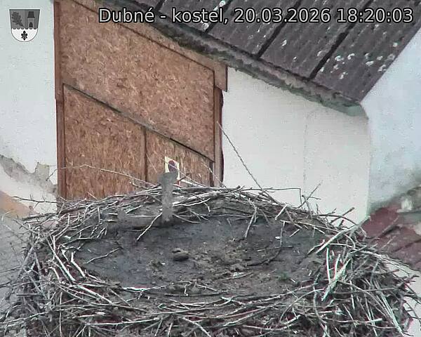 Capi_Dubne_20260320_182003.jpg (1350&nbsp;x&nbsp;1080)