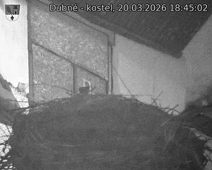 Capi_Dubne_20260320_184502.jpg (1350&nbsp;x&nbsp;1080)