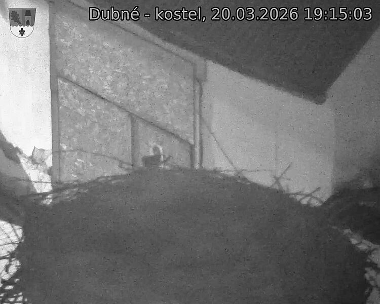 Capi_Dubne_20260320_191503.jpg (1350&nbsp;x&nbsp;1080)