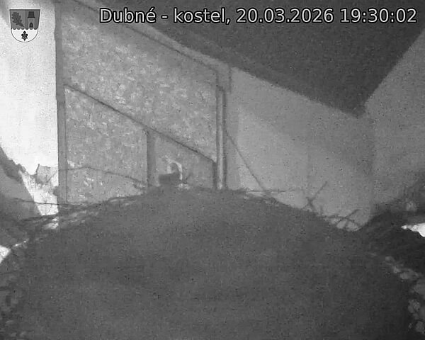 Capi_Dubne_20260320_193002.jpg (1350&nbsp;x&nbsp;1080)