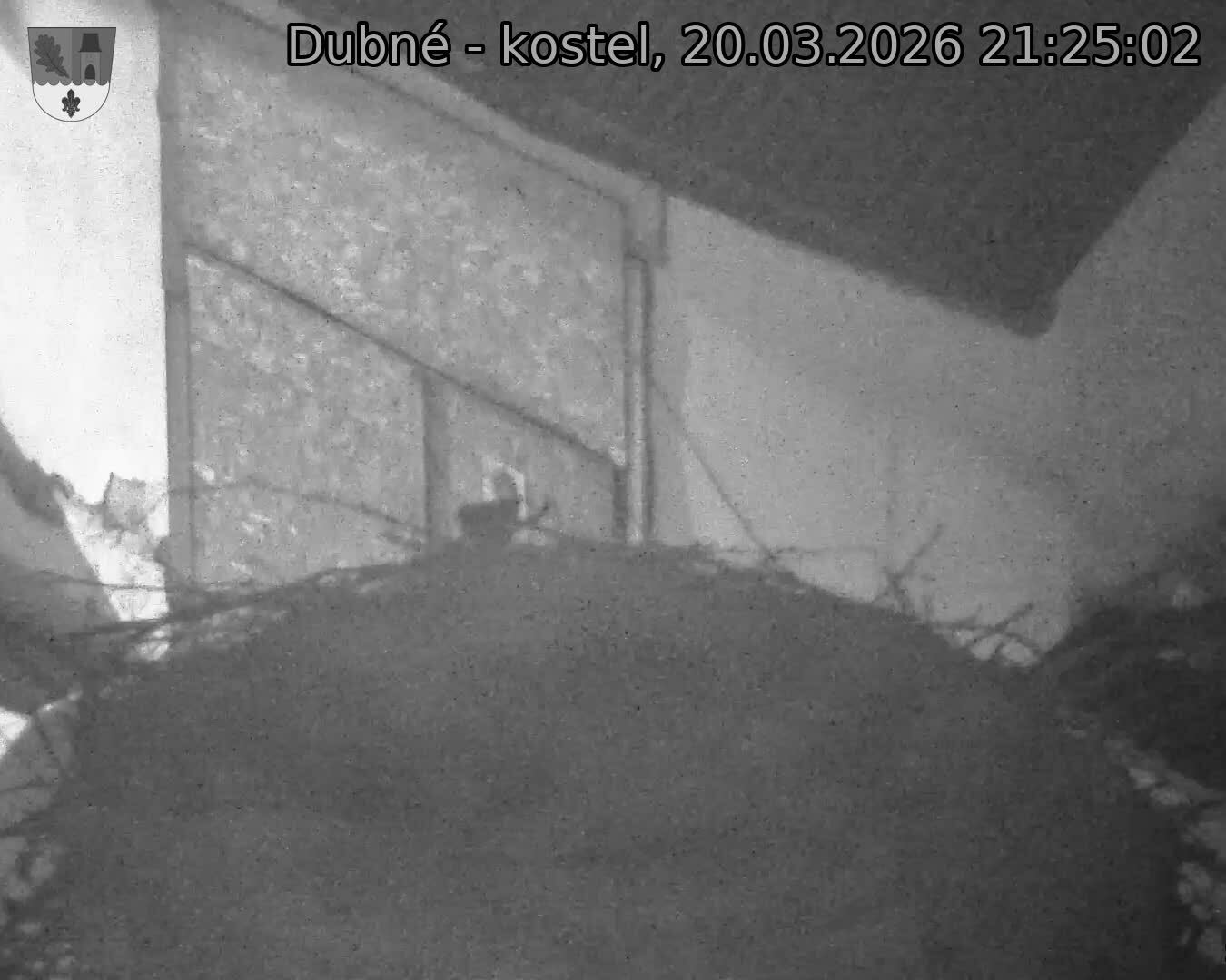 Capi_Dubne_20260320_212502.jpg (1350&nbsp;x&nbsp;1080)