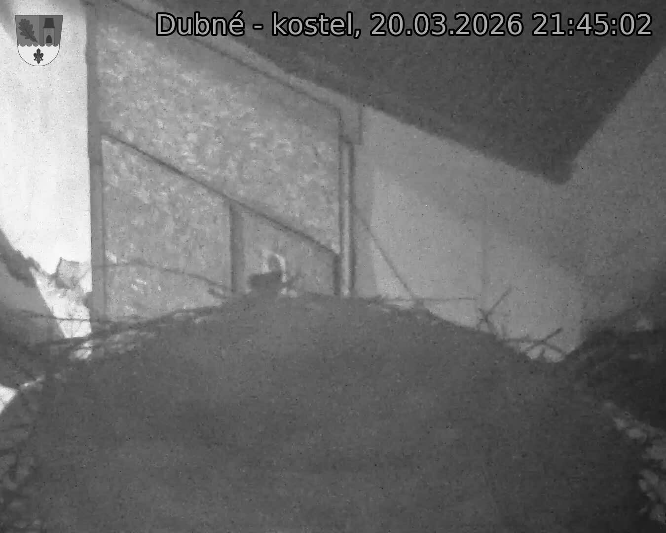 Capi_Dubne_20260320_214502.jpg (1350&nbsp;x&nbsp;1080)