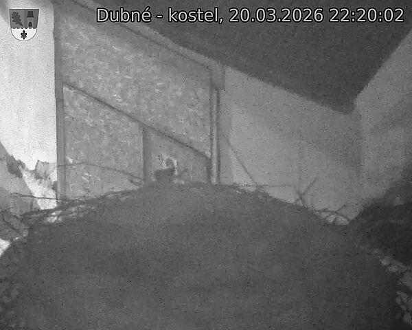 Capi_Dubne_20260320_222003.jpg (1350&nbsp;x&nbsp;1080)