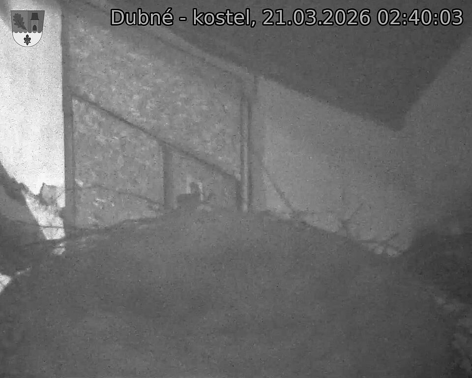 Capi_Dubne_20260321_024003.jpg (1350&nbsp;x&nbsp;1080)