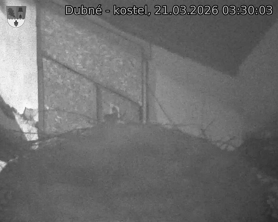 Capi_Dubne_20260321_033003.jpg (1350&nbsp;x&nbsp;1080)