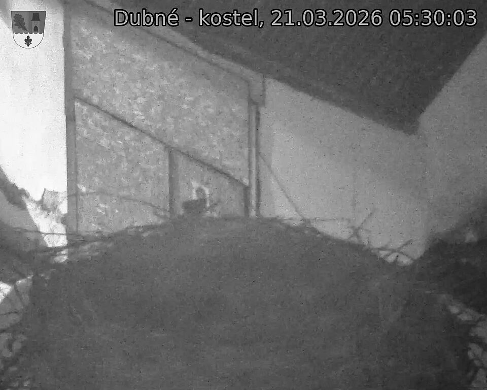 Capi_Dubne_20260321_053003.jpg (1350&nbsp;x&nbsp;1080)