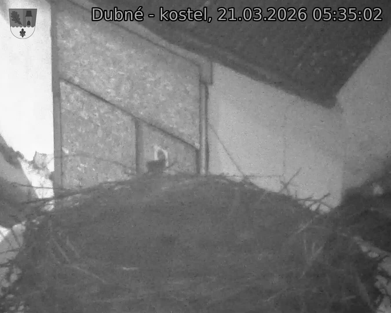Capi_Dubne_20260321_053502.jpg (1350&nbsp;x&nbsp;1080)