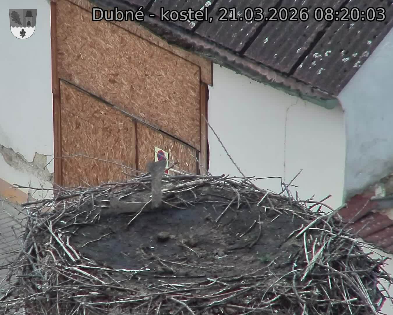 Capi_Dubne_20260321_082003.jpg (1350&nbsp;x&nbsp;1080)