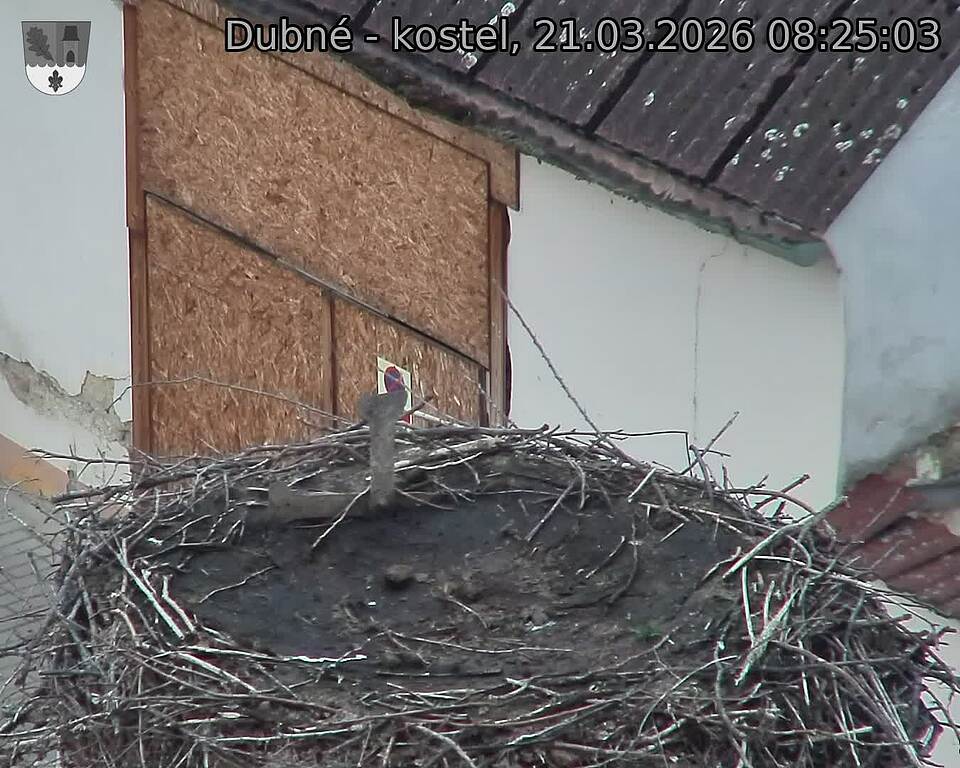 Capi_Dubne_20260321_082503.jpg (1350&nbsp;x&nbsp;1080)