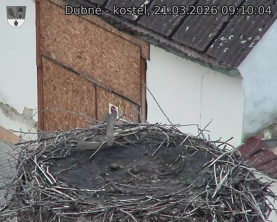 Capi_Dubne_20260321_091004.jpg (1350&nbsp;x&nbsp;1080)