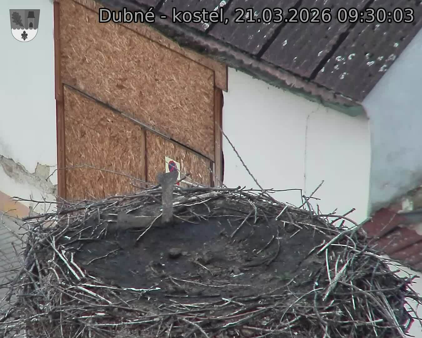 Capi_Dubne_20260321_093003.jpg (1350&nbsp;x&nbsp;1080)
