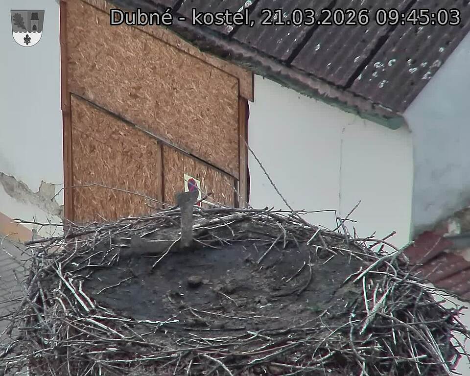 Capi_Dubne_20260321_094503.jpg (1350&nbsp;x&nbsp;1080)