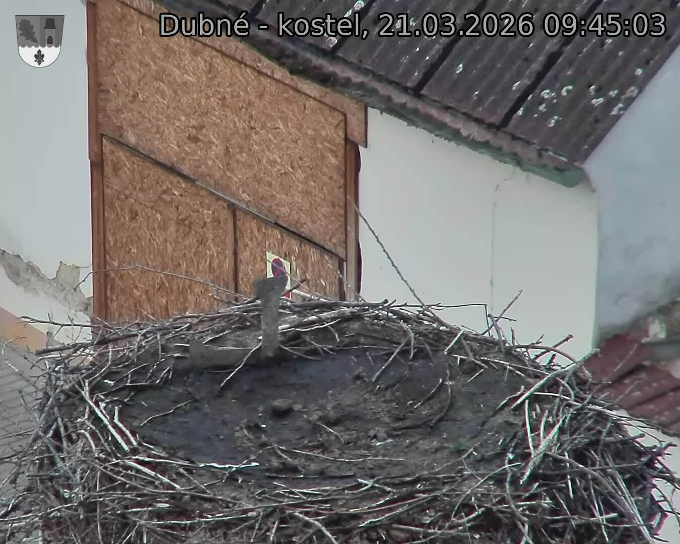 Capi_Dubne_20260321_094503.jpg (1350&nbsp;x&nbsp;1080)