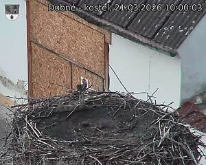 Capi_Dubne_20260321_100003.jpg (1350&nbsp;x&nbsp;1080)