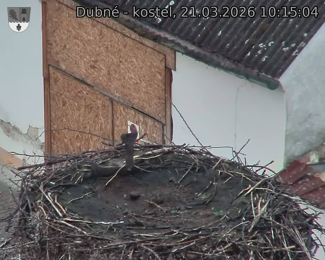 Capi_Dubne_20260321_101504.jpg (1350&nbsp;x&nbsp;1080)