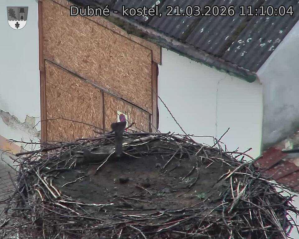 Capi_Dubne_20260321_111004.jpg (1350&nbsp;x&nbsp;1080)