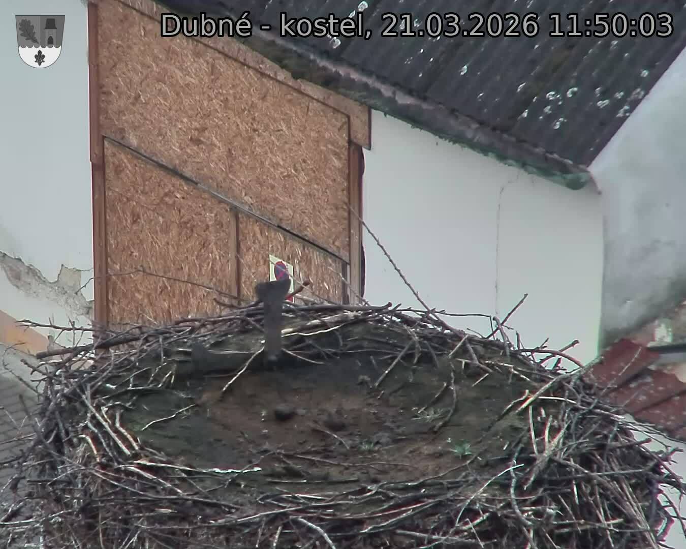 Capi_Dubne_20260321_115003.jpg (1350&nbsp;x&nbsp;1080)