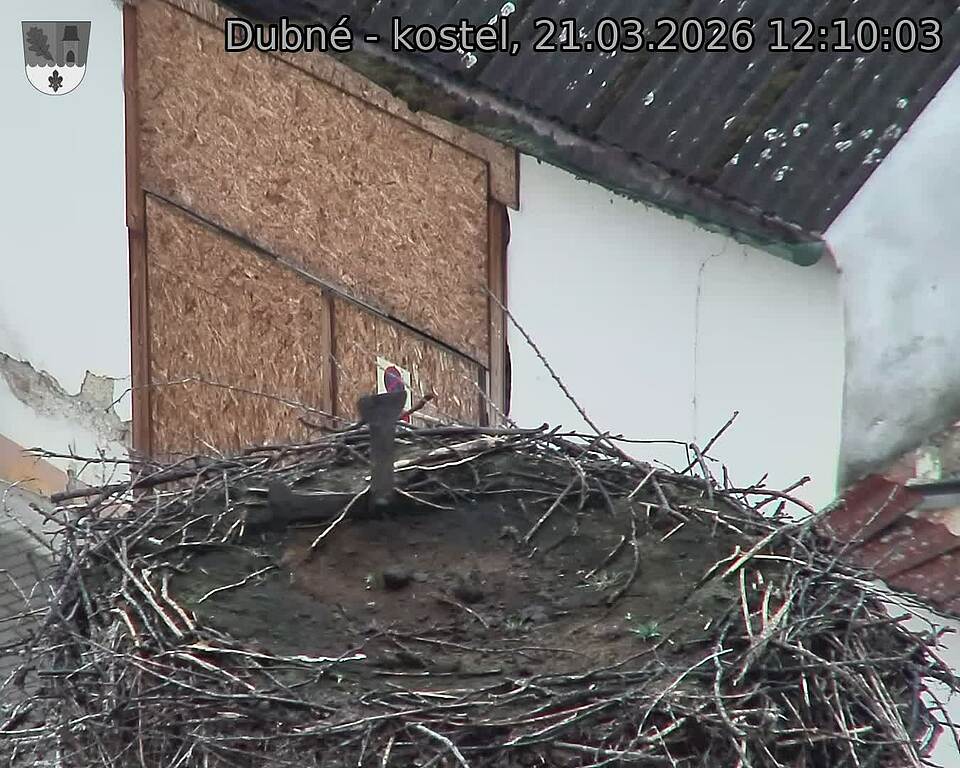 Capi_Dubne_20260321_121003.jpg (1350&nbsp;x&nbsp;1080)
