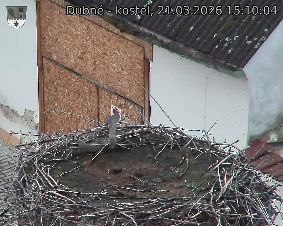 Capi_Dubne_20260321_151004.jpg (1350&nbsp;x&nbsp;1080)