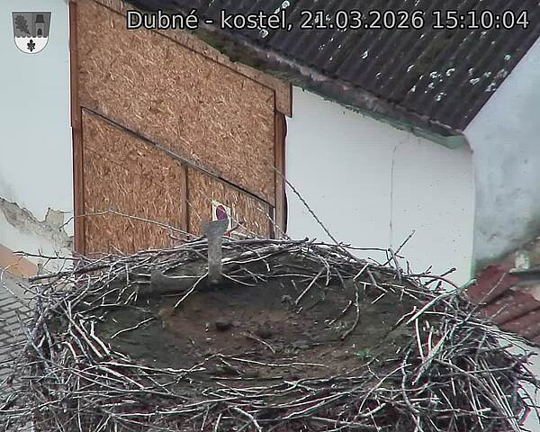 Capi_Dubne_20260321_151004.jpg (1350&nbsp;x&nbsp;1080)