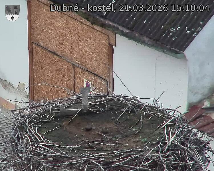 Capi_Dubne_20260321_151004.jpg (1350&nbsp;x&nbsp;1080)