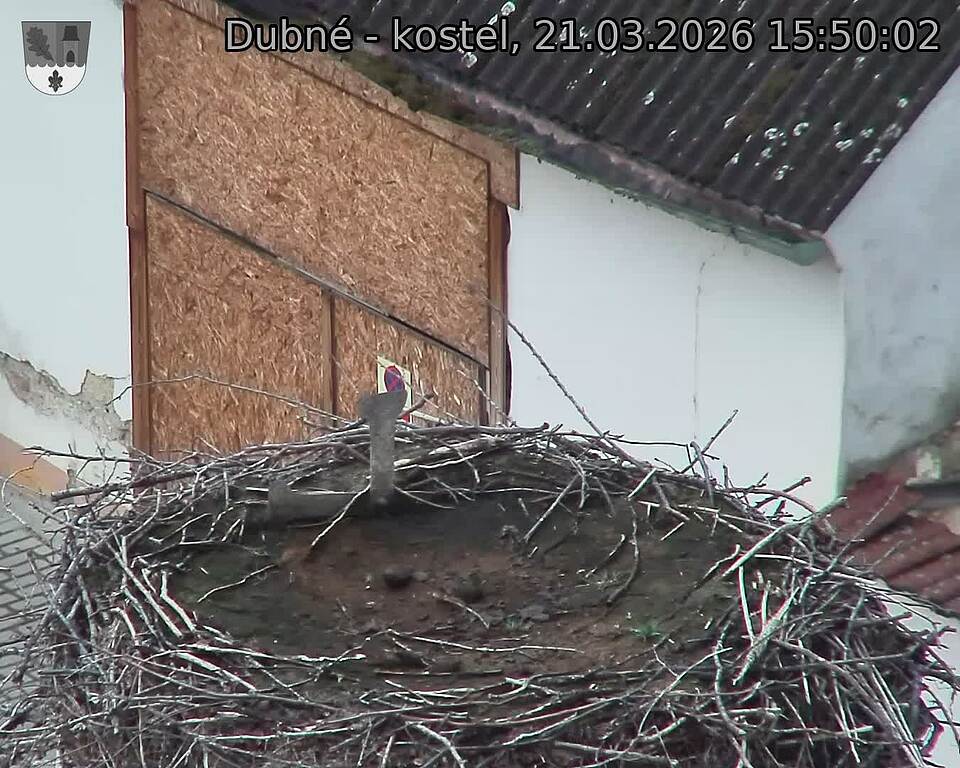 Capi_Dubne_20260321_155002.jpg (1350&nbsp;x&nbsp;1080)