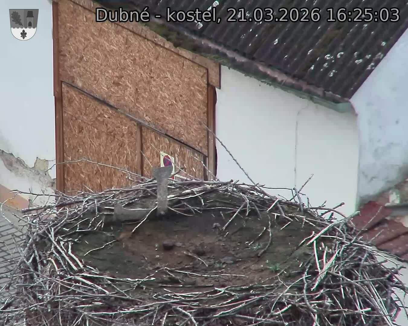 Capi_Dubne_20260321_162503.jpg (1350&nbsp;x&nbsp;1080)