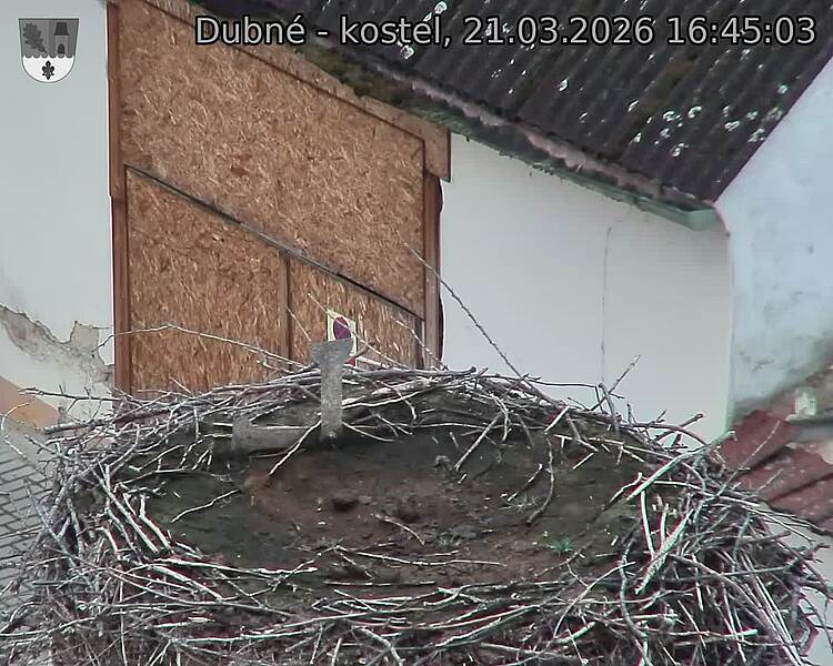 Capi_Dubne_20260321_164503.jpg (1350&nbsp;x&nbsp;1080)