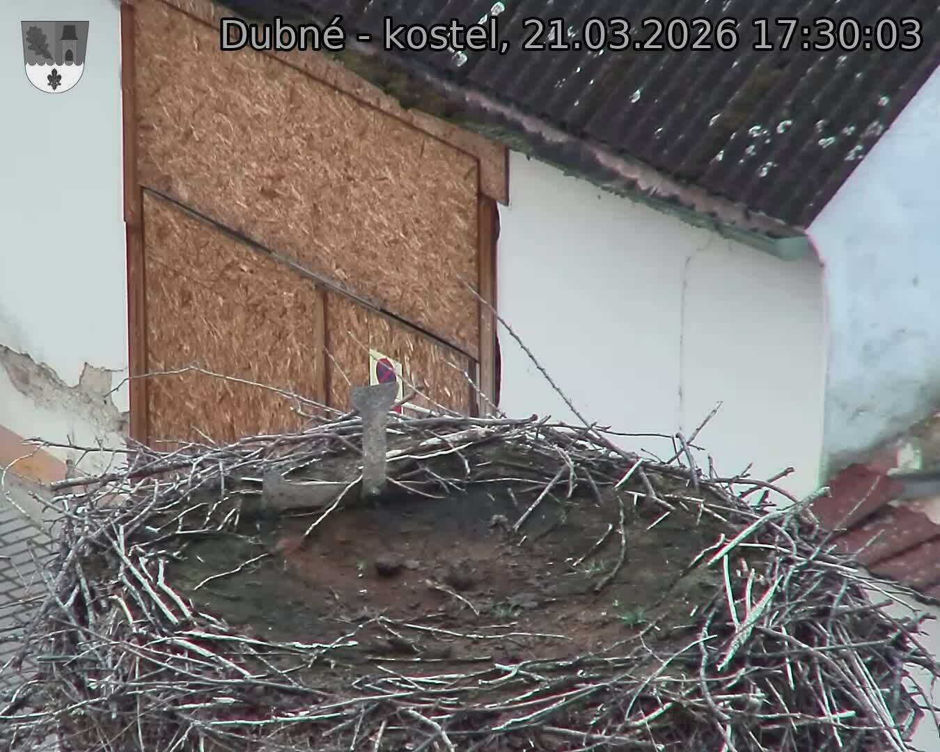Capi_Dubne_20260321_173003.jpg (1350&nbsp;x&nbsp;1080)