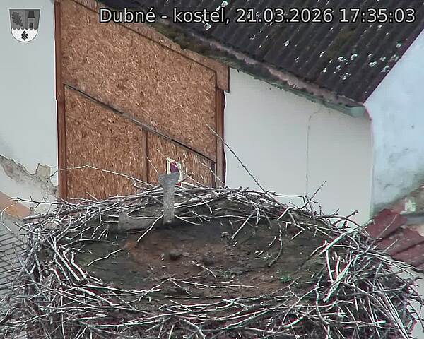 Capi_Dubne_20260321_173503.jpg (1350&nbsp;x&nbsp;1080)