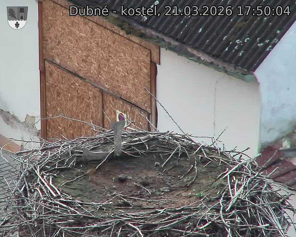 Capi_Dubne_20260321_175004.jpg (1350&nbsp;x&nbsp;1080)