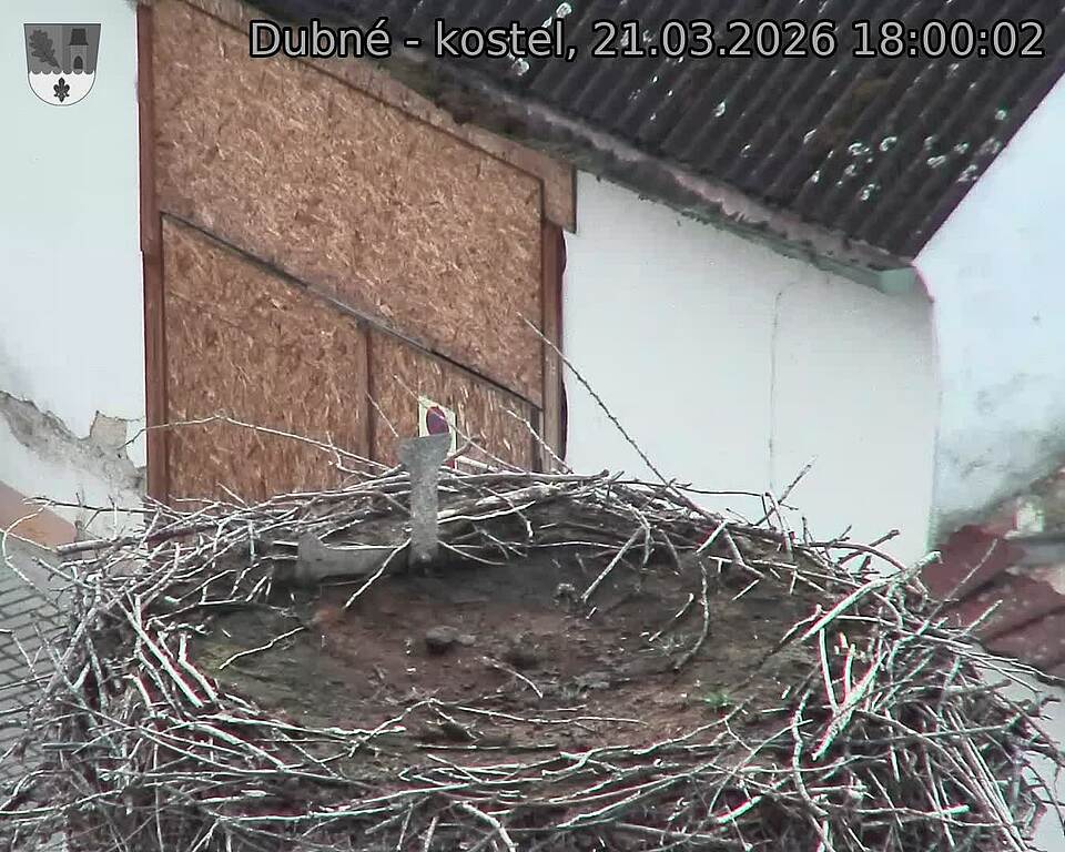 Capi_Dubne_20260321_180003.jpg (1350&nbsp;x&nbsp;1080)