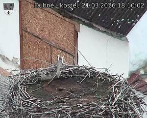 Capi_Dubne_20260321_181002.jpg (1350&nbsp;x&nbsp;1080)