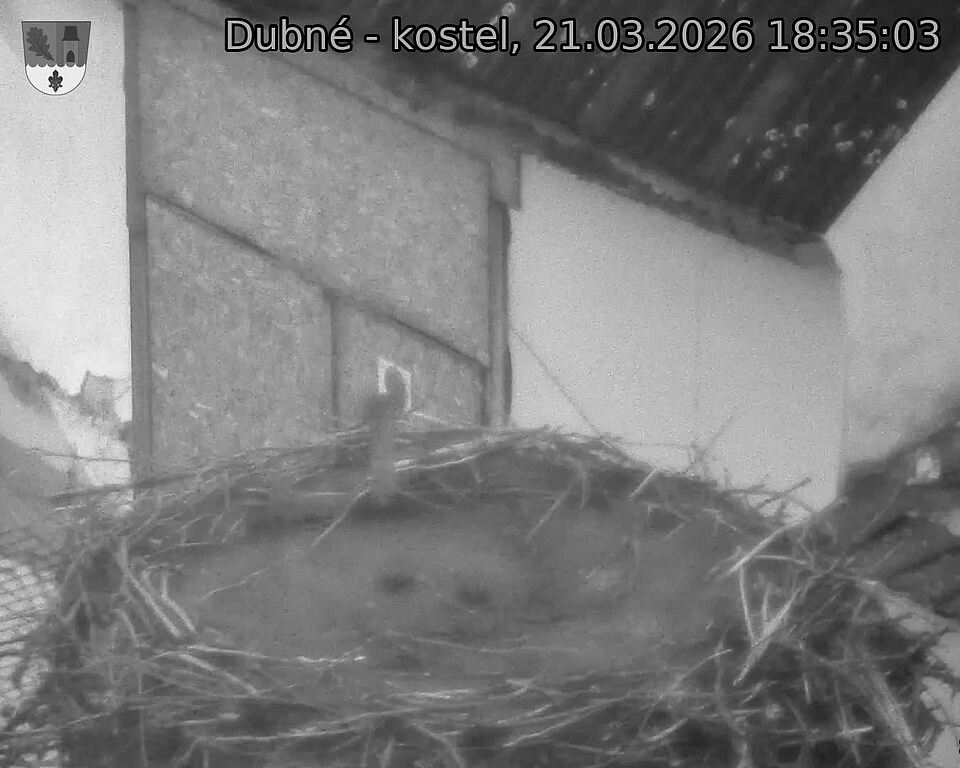 Capi_Dubne_20260321_183503.jpg (1350&nbsp;x&nbsp;1080)