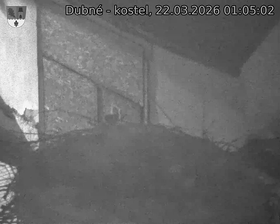 Capi_Dubne_20260322_010502.jpg (1350&nbsp;x&nbsp;1080)