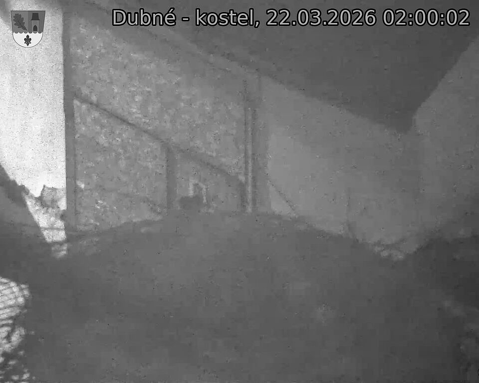 Capi_Dubne_20260322_020002.jpg (1350&nbsp;x&nbsp;1080)