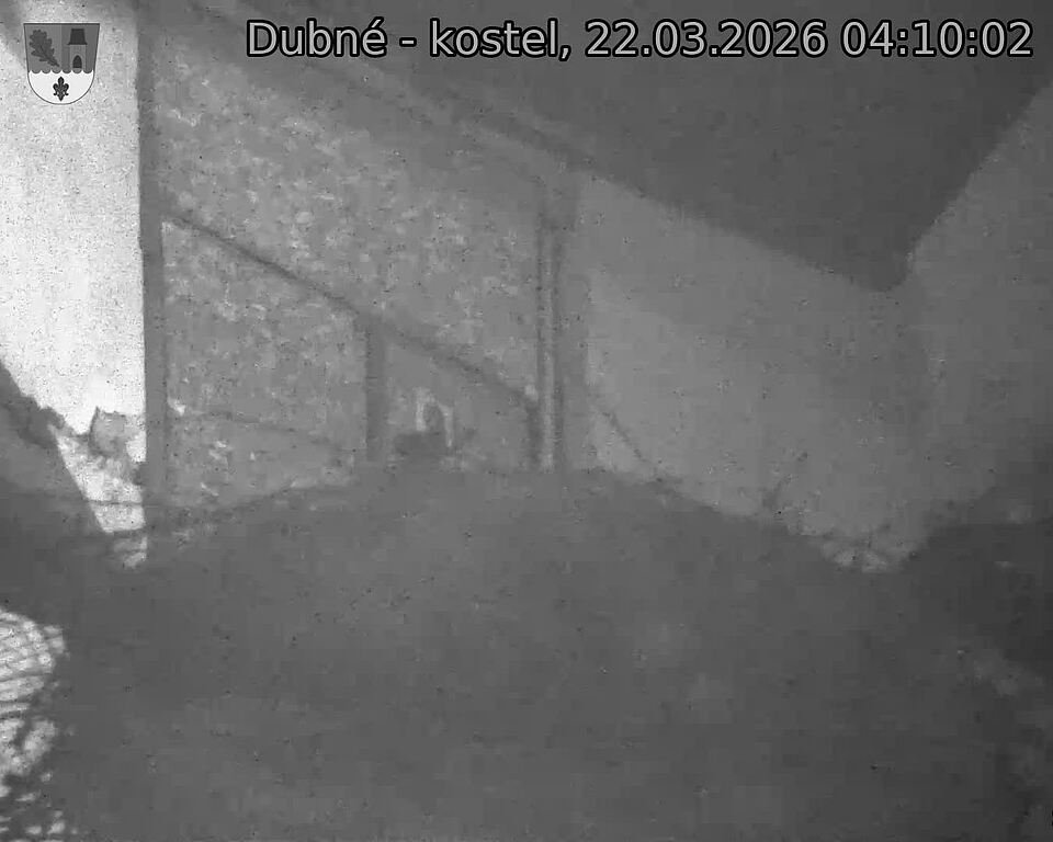 Capi_Dubne_20260322_041002.jpg (1350&nbsp;x&nbsp;1080)