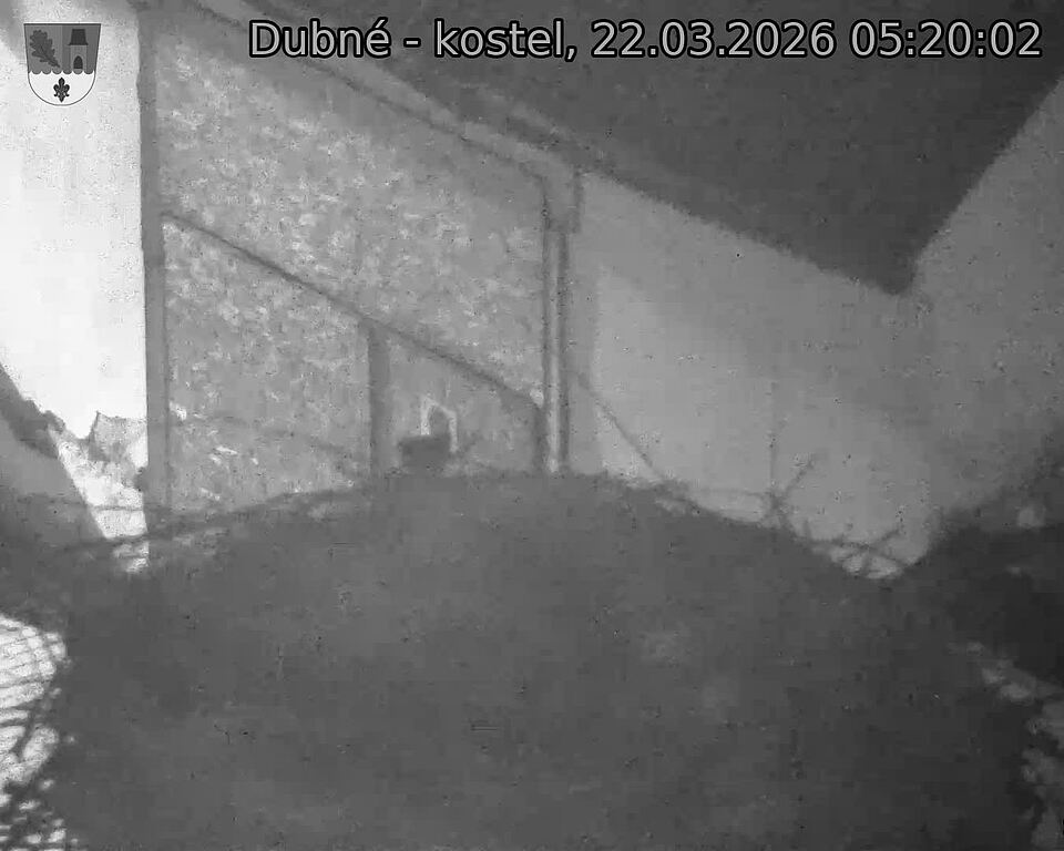 Capi_Dubne_20260322_052002.jpg (1350&nbsp;x&nbsp;1080)